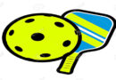 PickleBall Catching On at Orchard View | Learn the Game