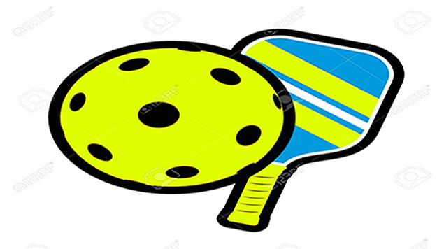 PickleBall Catching On at Orchard View | Learn the Game